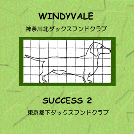 WINDYVALE SUCCESS Ⅱ